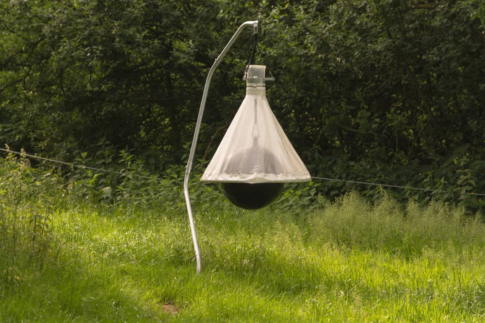 Chemicals Horse Fly lamp