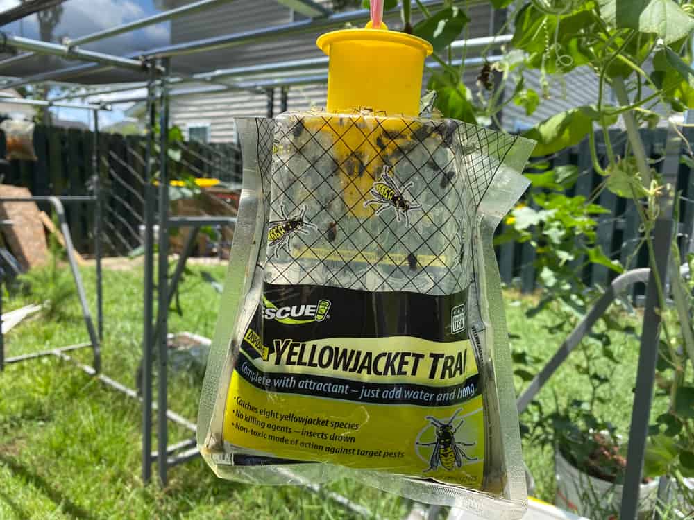 Commercial Mechanical Horse Fly Traps