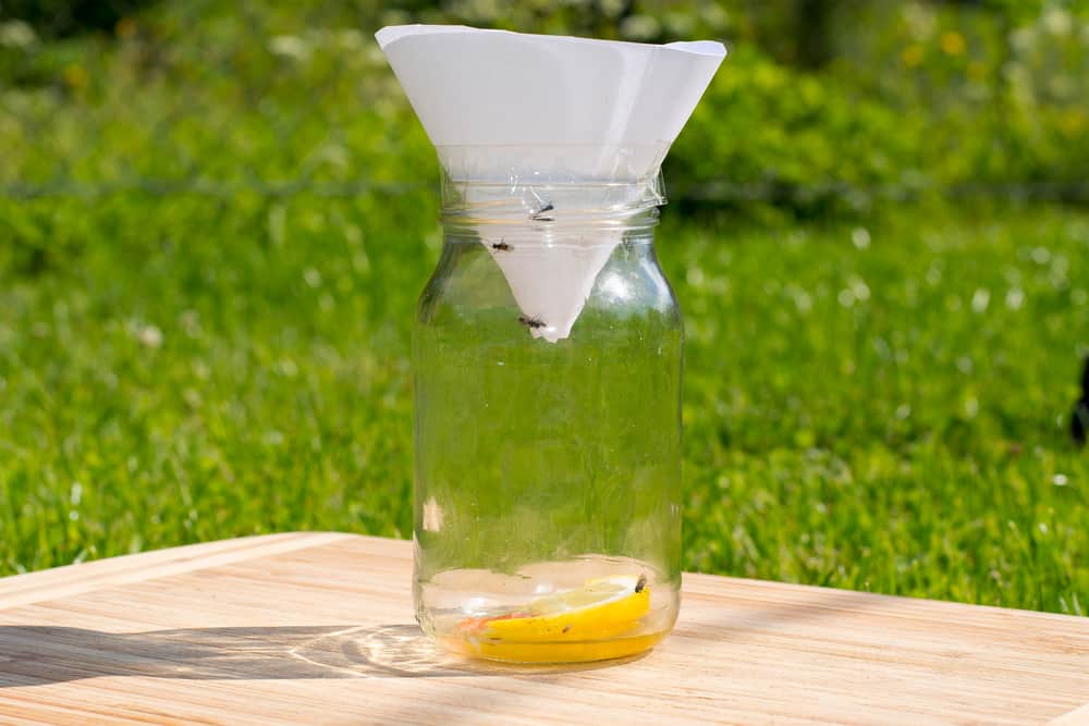Homemade Mechanical Horse Fly Traps