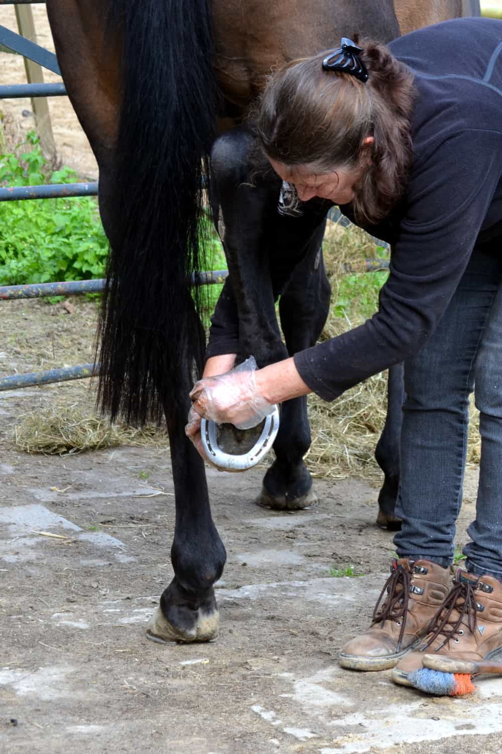 Hoof care