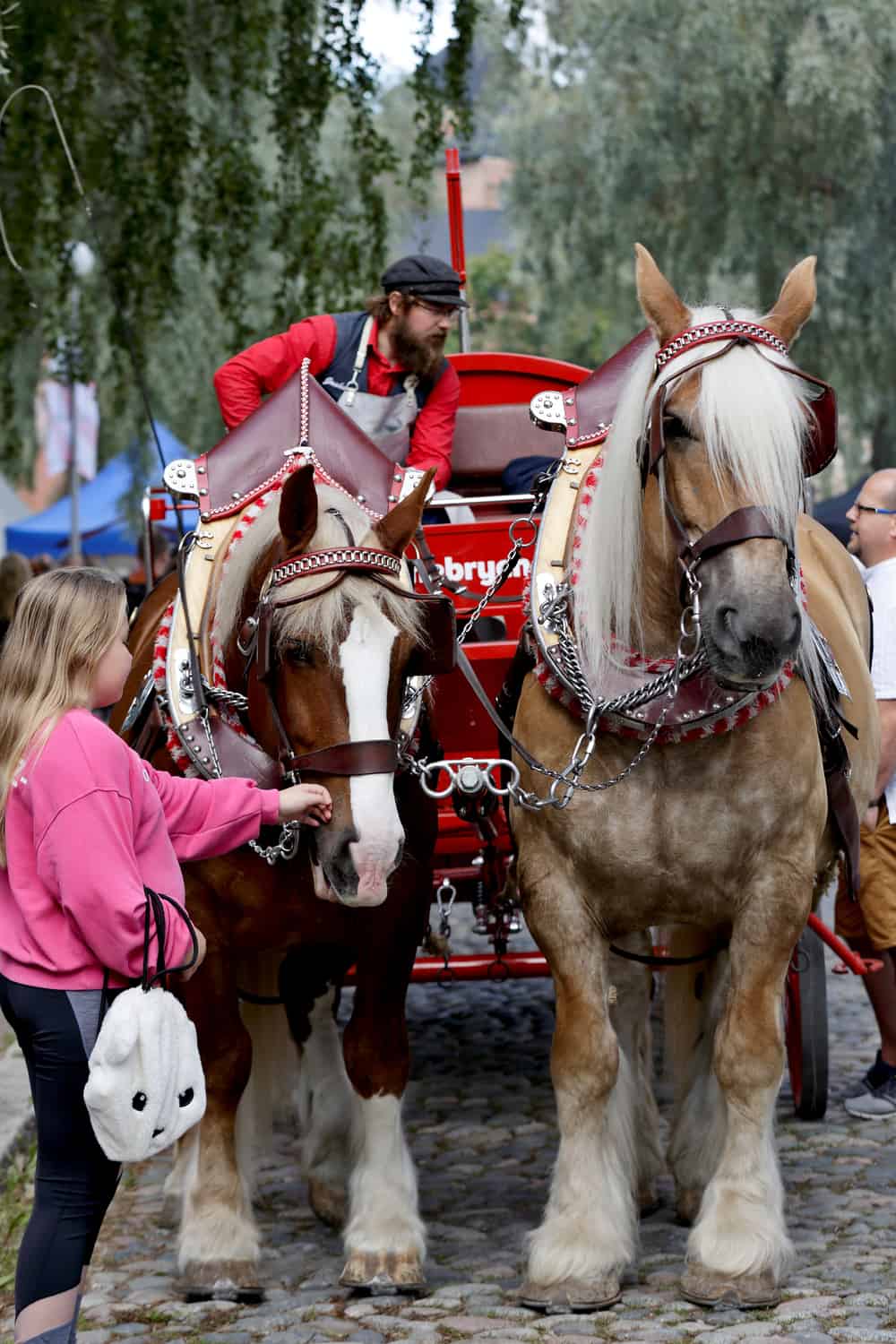 Jutland Horse