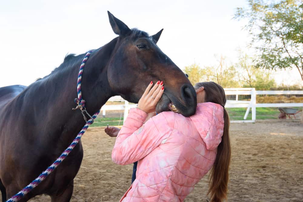 5 tips to stop horse biting