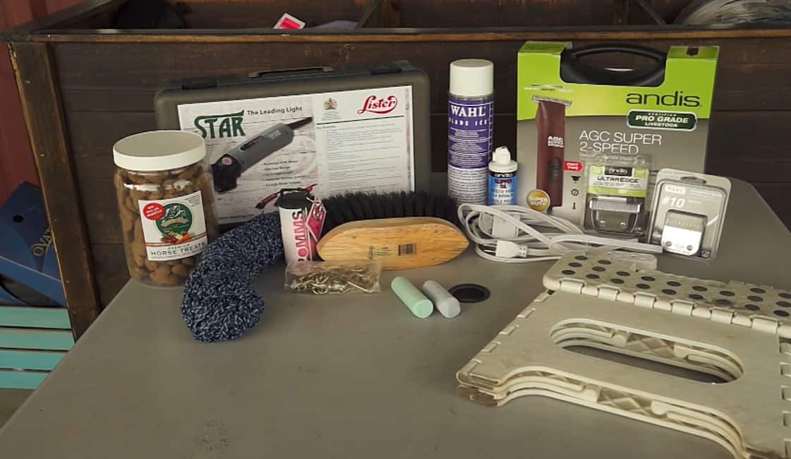 Buy Essential Body Clipping Tools