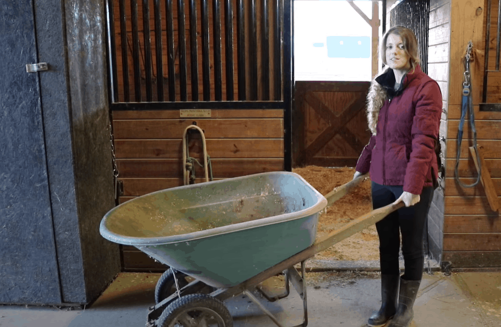 Get your stall ready for cleaning