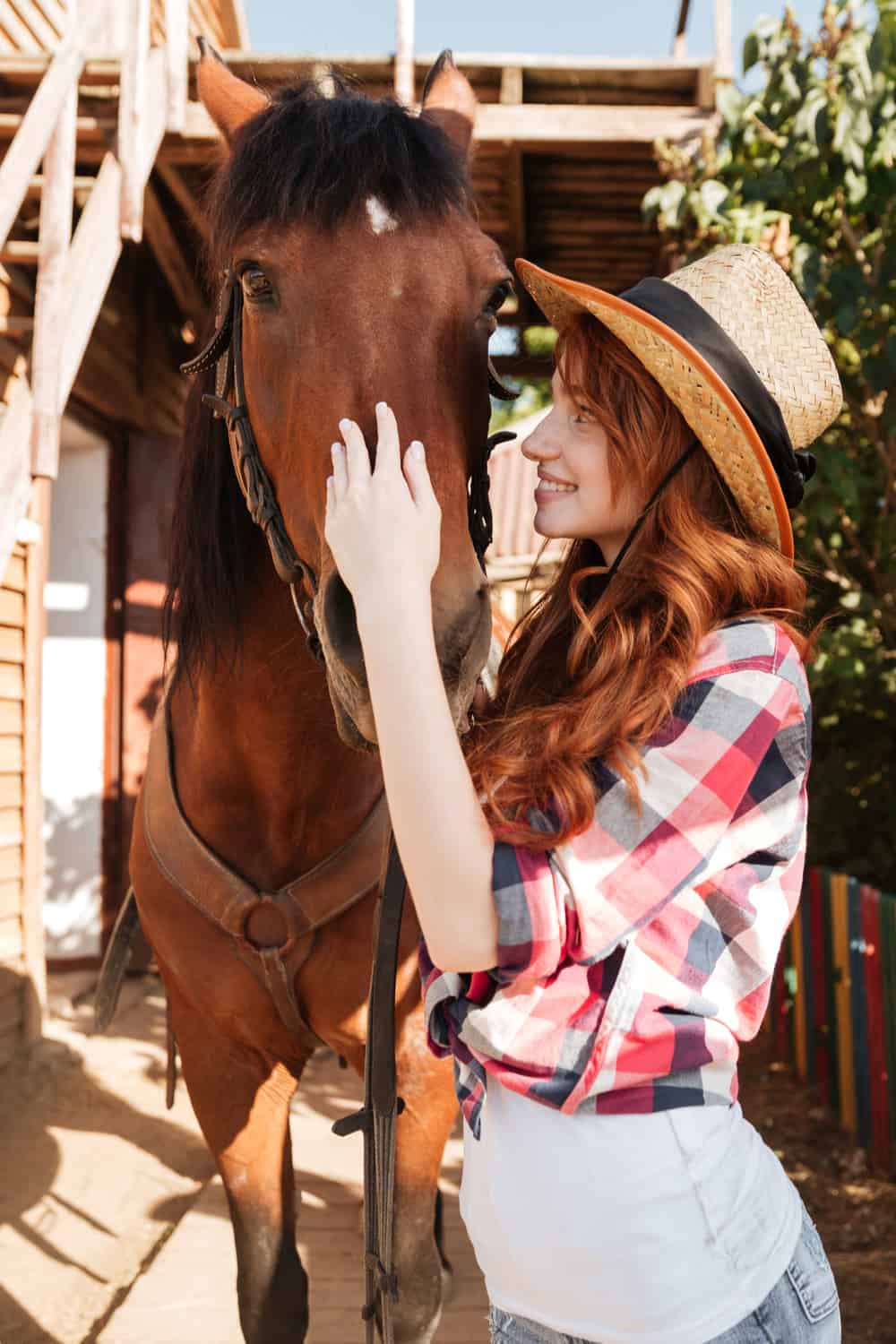How Do Horse Whisperers Build Trust