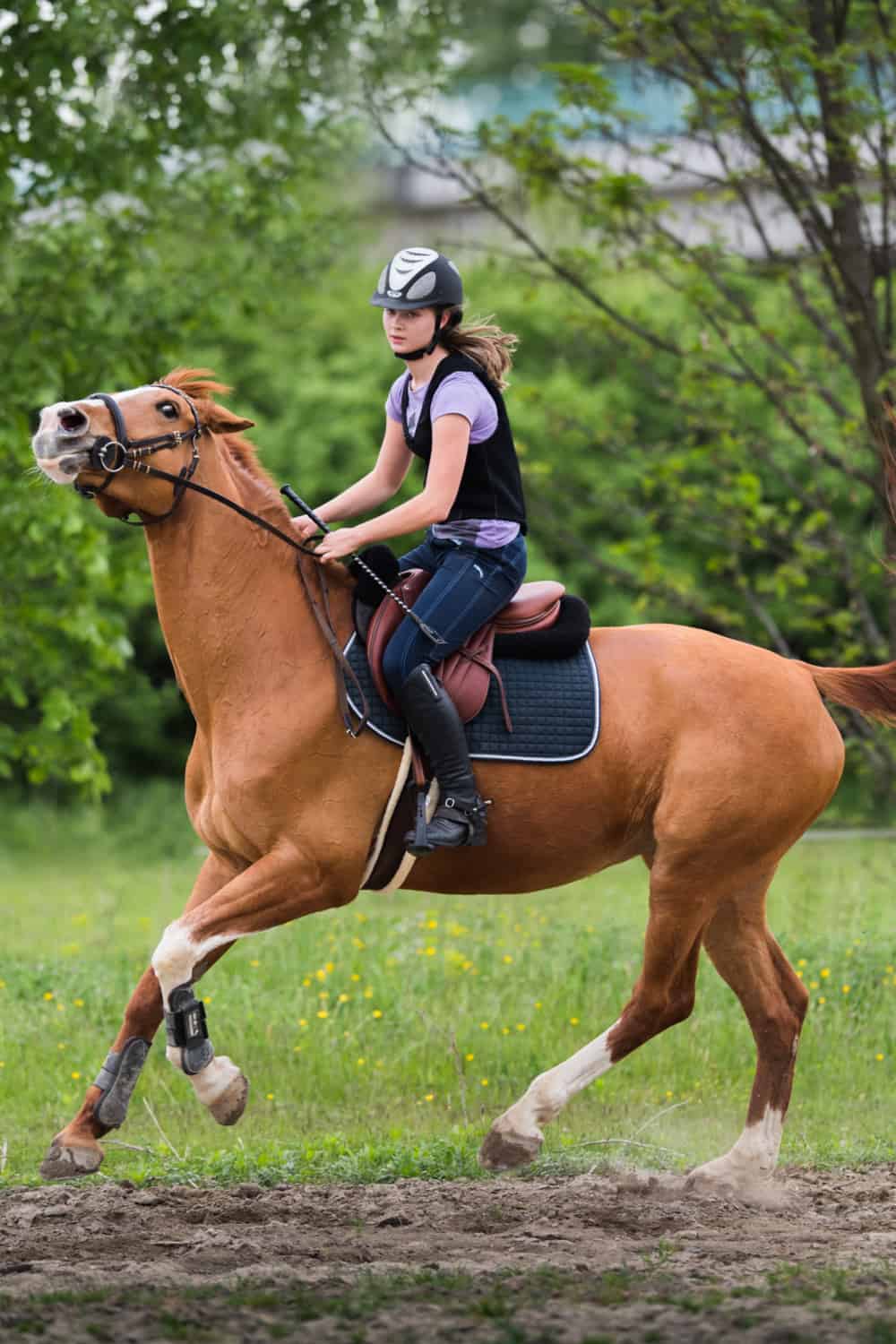 Over-pulling the reins