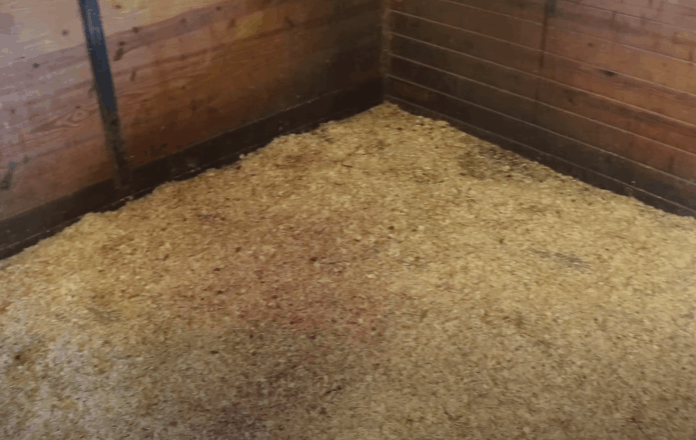 Spread fresh bedding