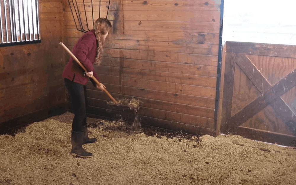 Start with the manure