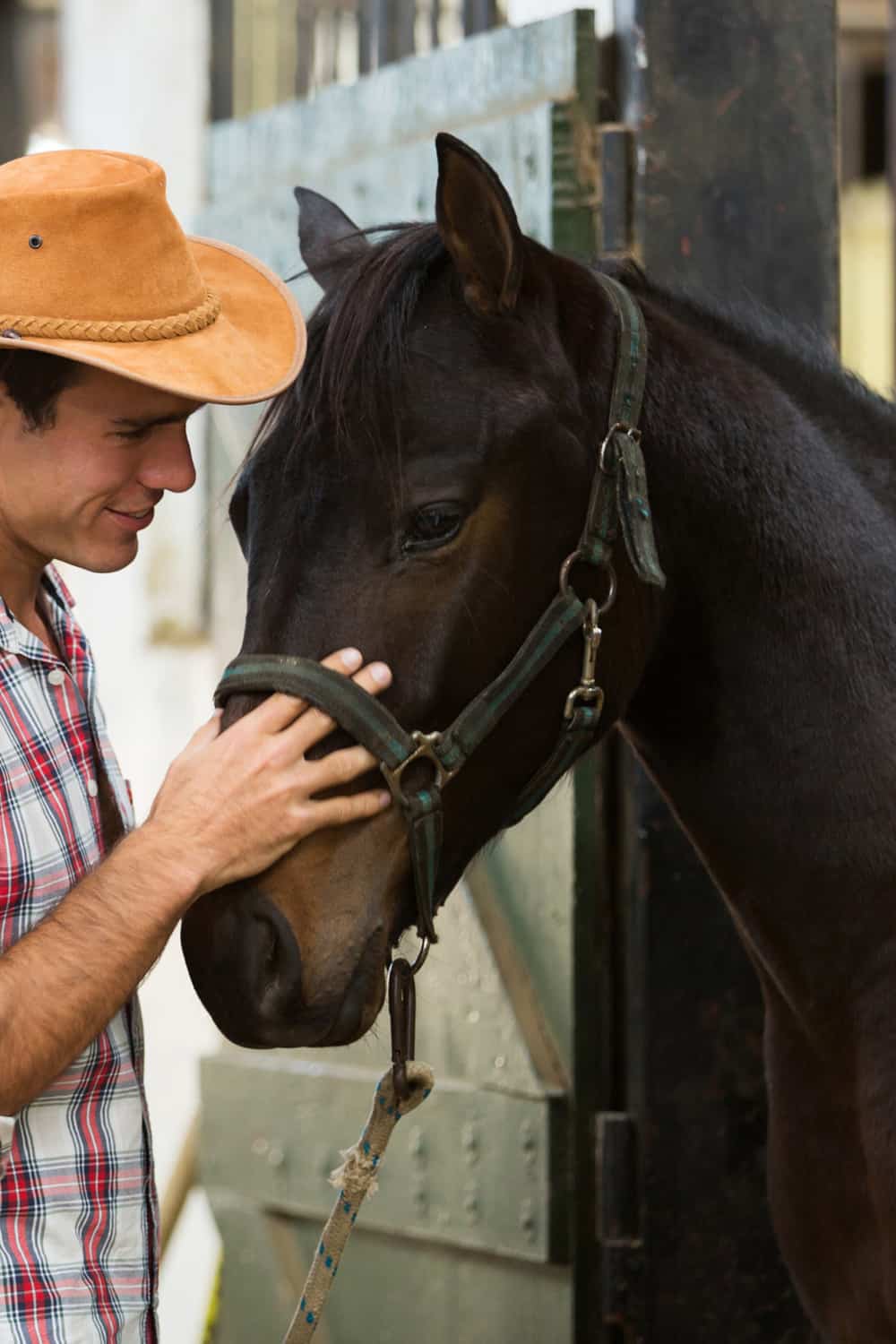 What Is a Horse Whisperer