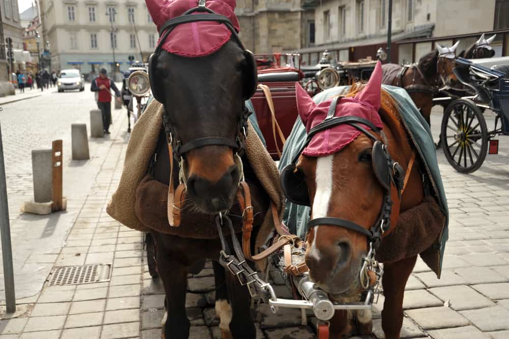 When pulling a carriage