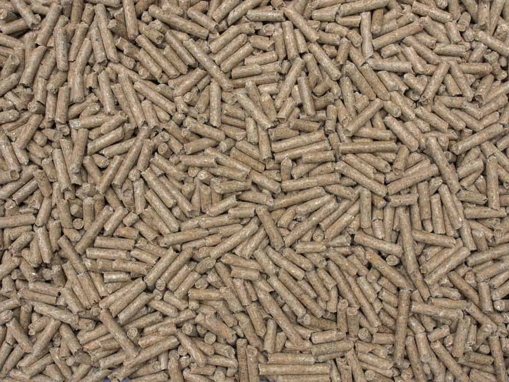 horse eat Concentrates