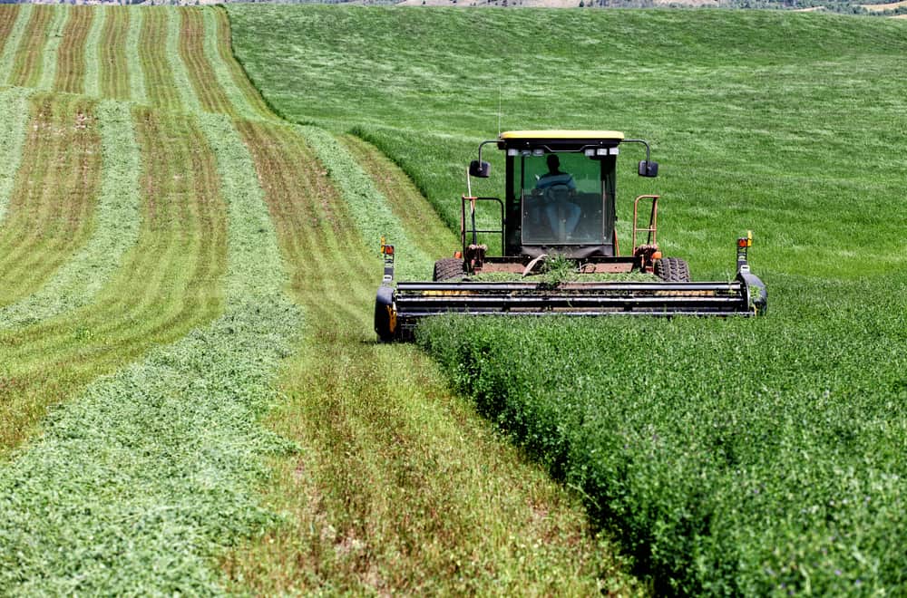 Harvesting