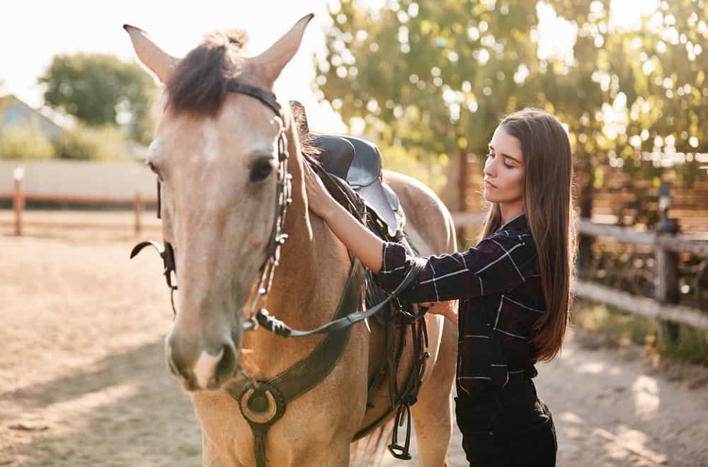 Helpful Tips To Avoid Horse Kicking