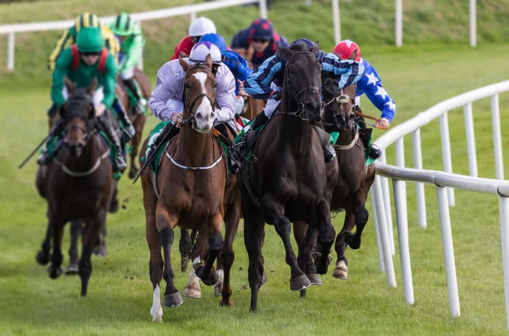 Betting on a horse