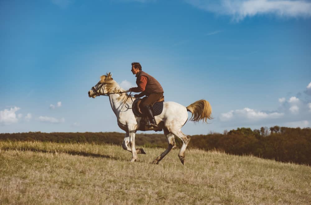 Can You Be Arrested For Being Drunk on a Horse