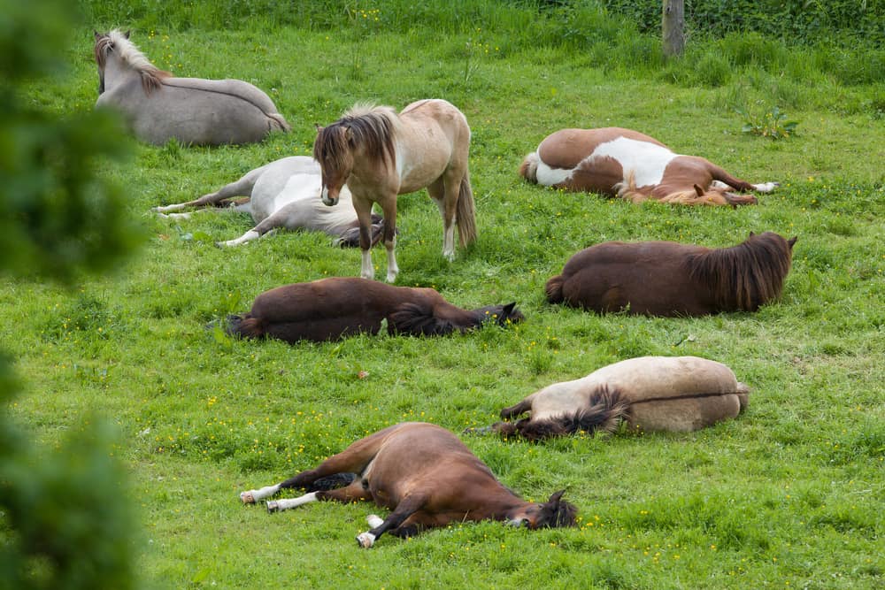 Deep Sleep