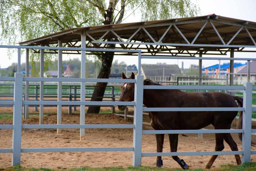 Horse Vinyl Fencing