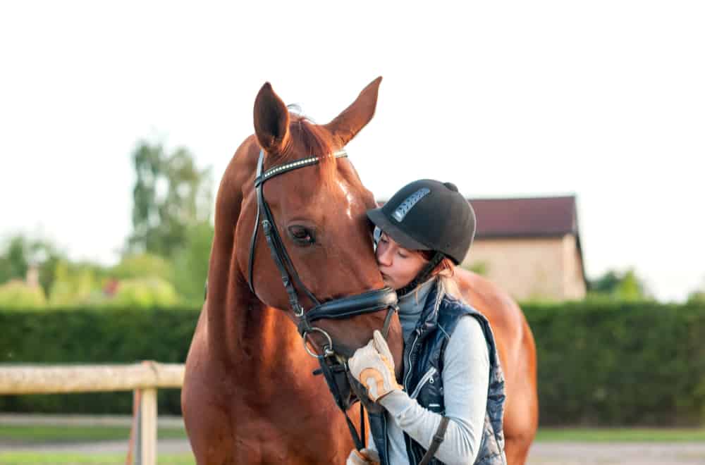 Horses vs. Other Animals