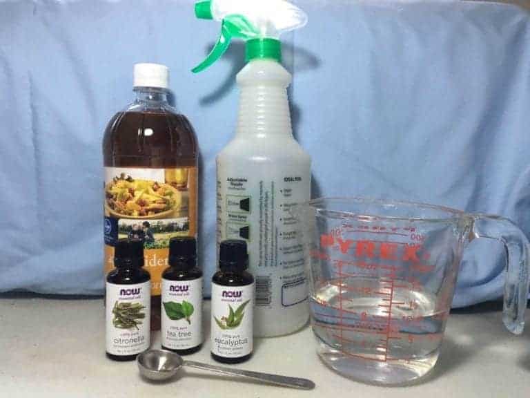 How To Make Homemade Fly Spray for Horses That's All-Natural