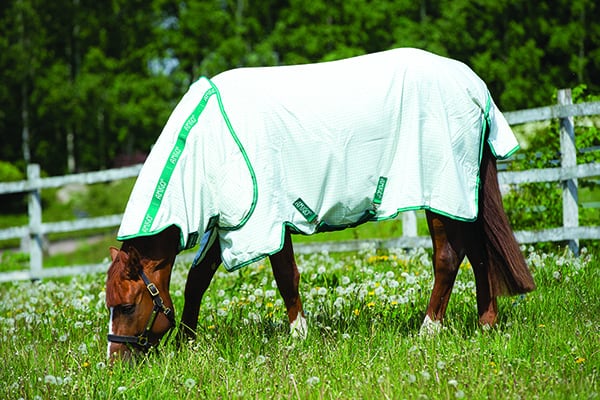 How to Make Homemade Fly Spray Recipes for Horses Horse & Hound