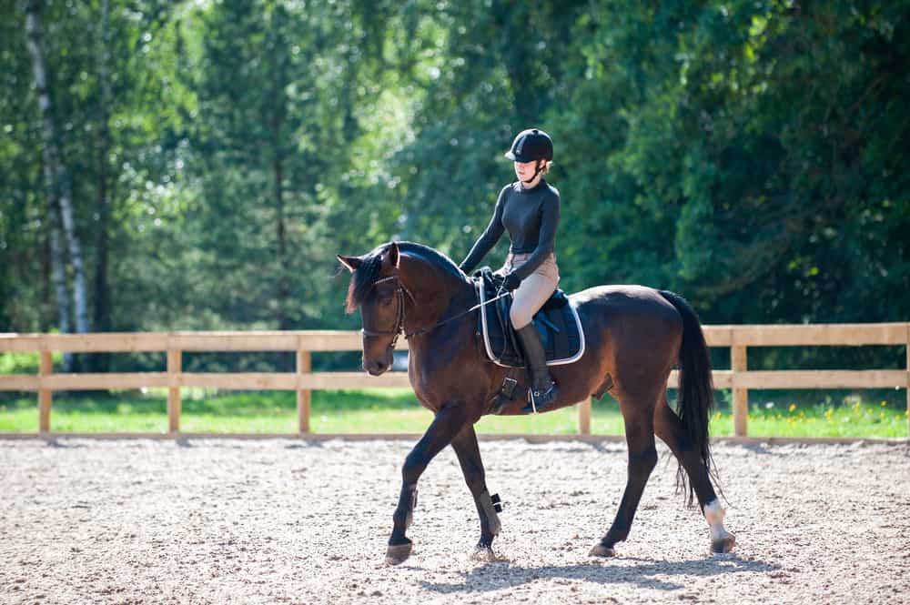 How to Ride a Horse