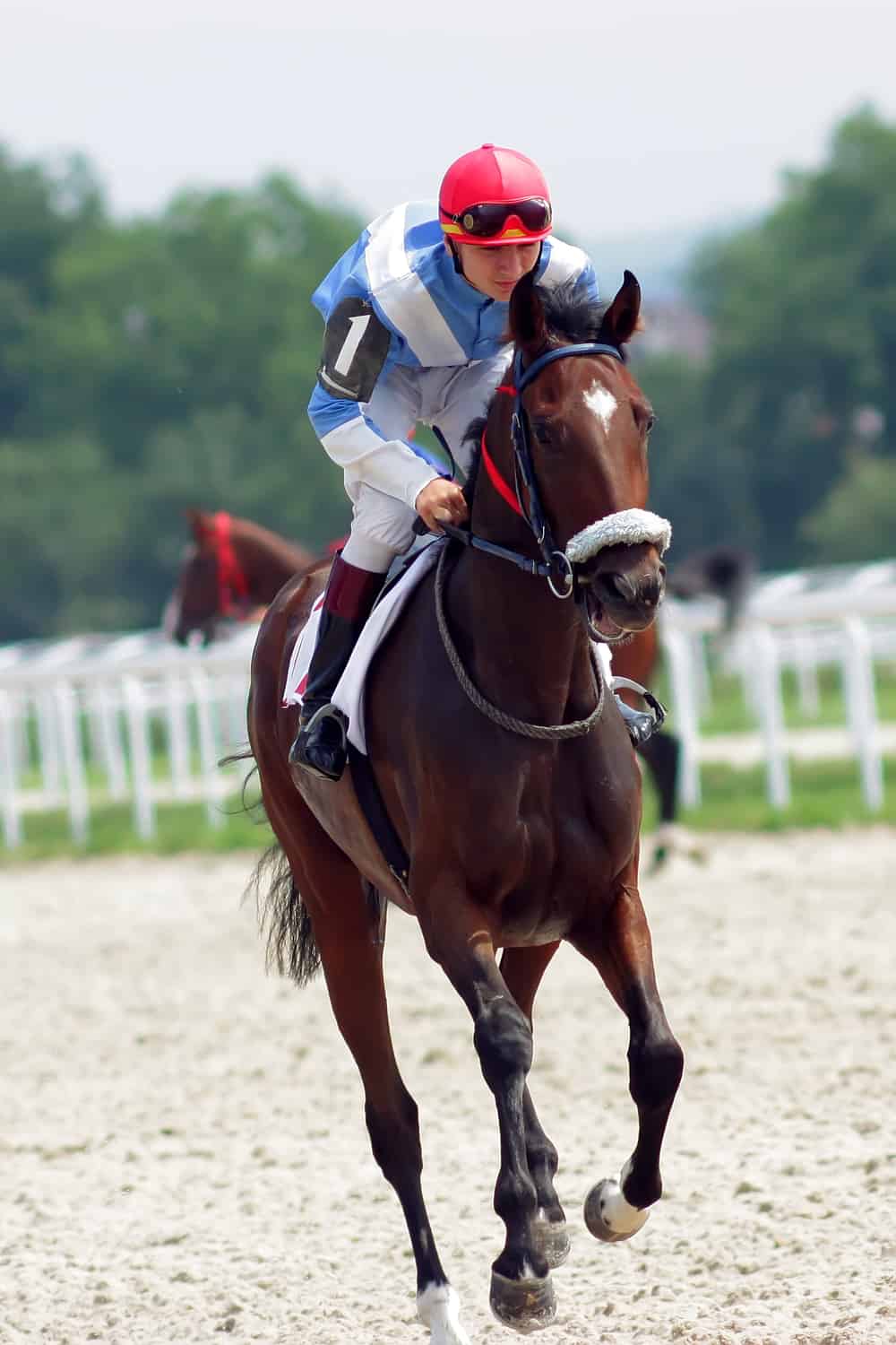 Jockeys’ Annual Earnings