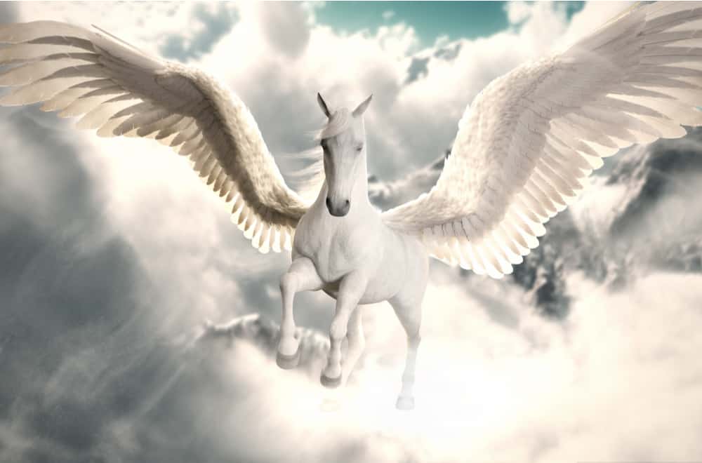 Pegasus