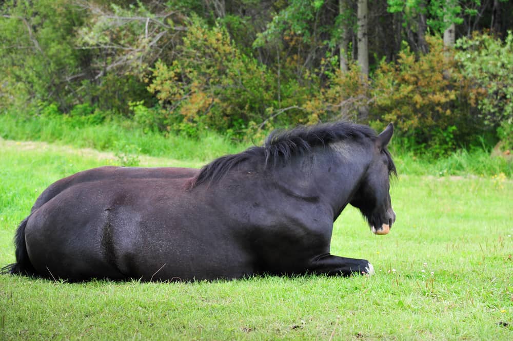 Relax And Rest
