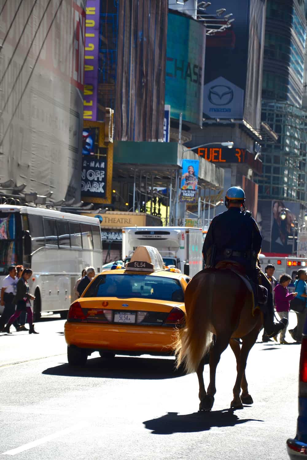 States In Which You Can Get A DUI Riding A Horse Drunk
