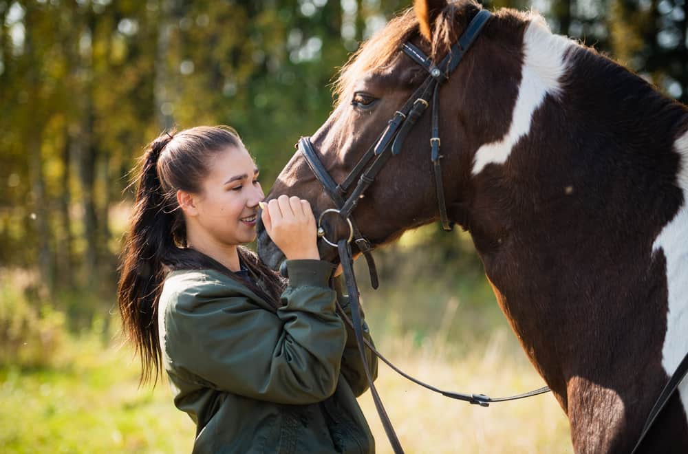 Talking horse