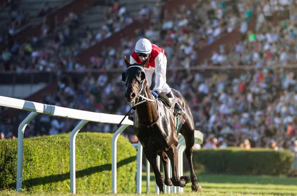 The Ways a Jockey Earn Money