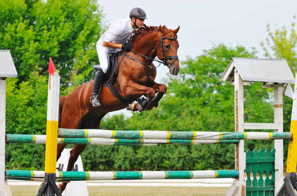 Types of Jumping Competitions