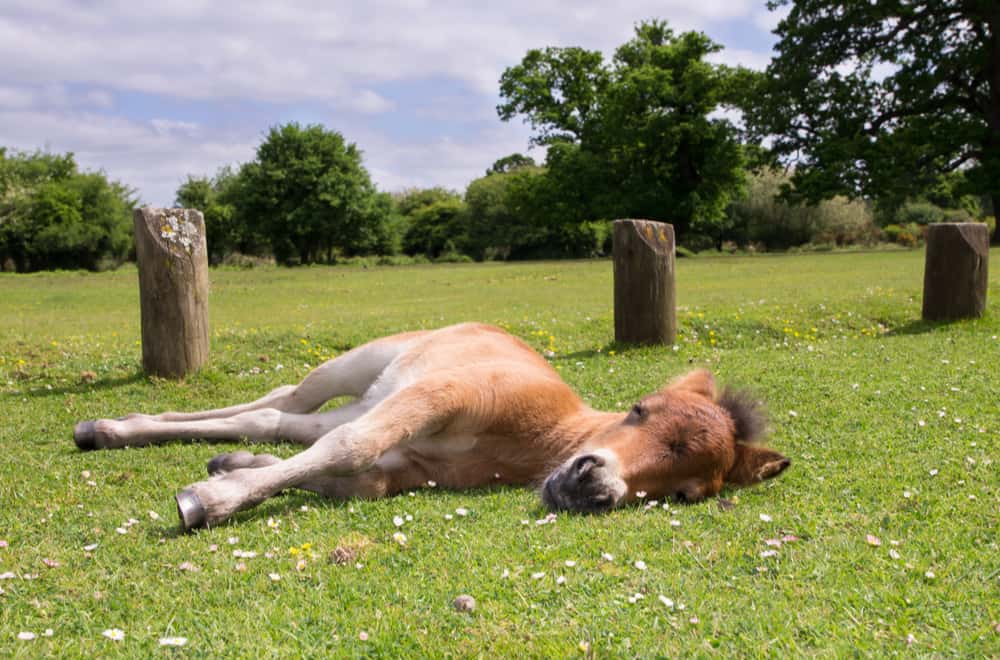 Why Is Deep Sleep Essential