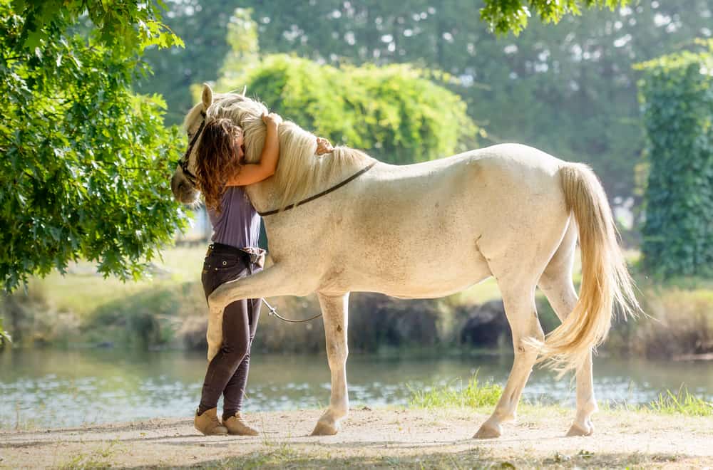 You being the horse