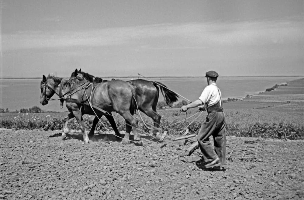 Agricultural work