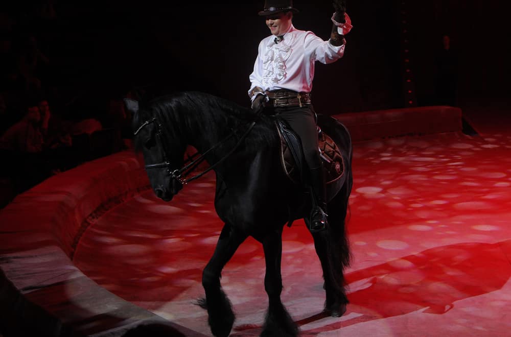 Circus performances