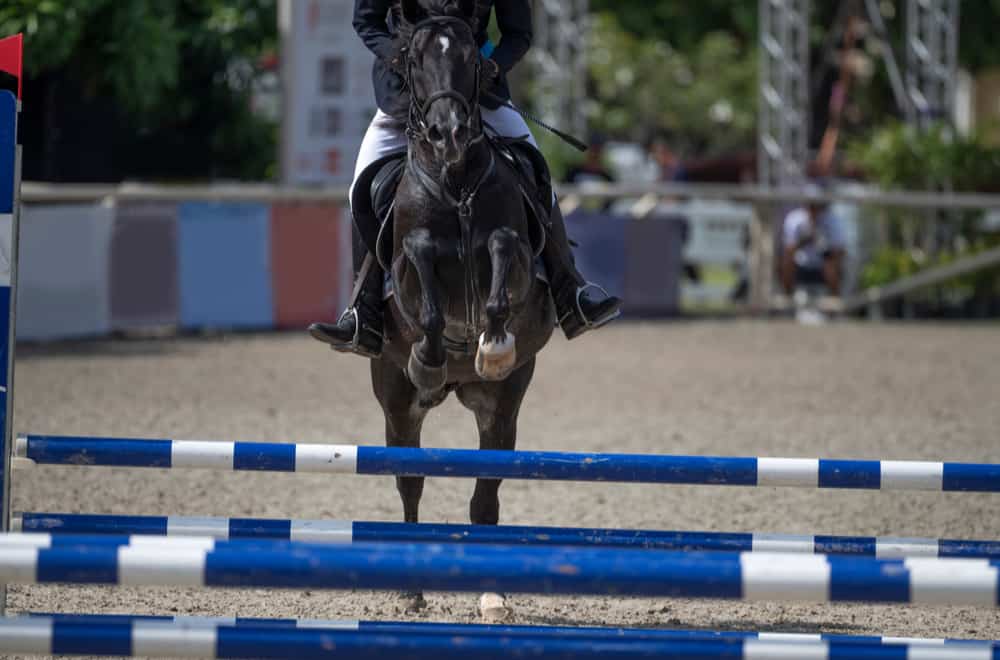 Competition and recreational driving