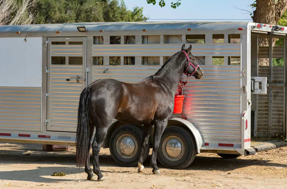 Consider leasing a trailer