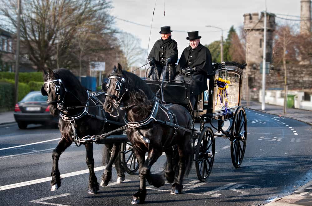 Funeral horses