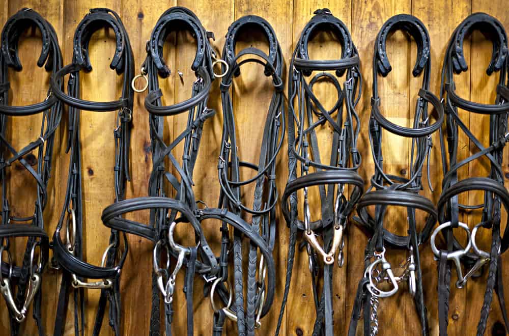 How to choose a bit for your horse