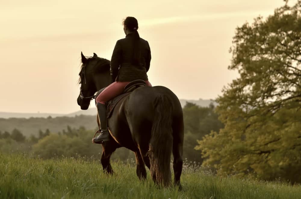 Trail riding