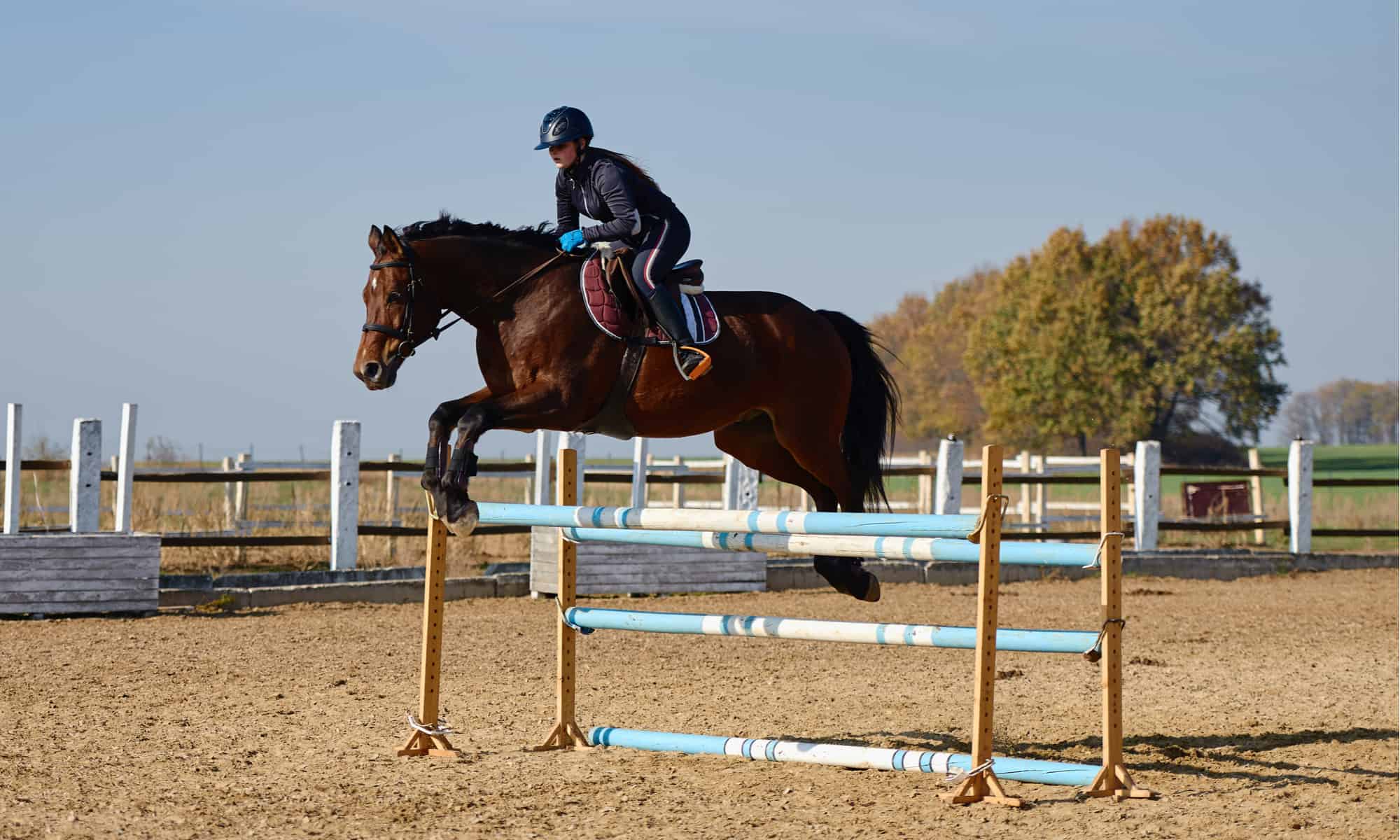 **Pair** of Show Jump Training Wings For Show jumping 