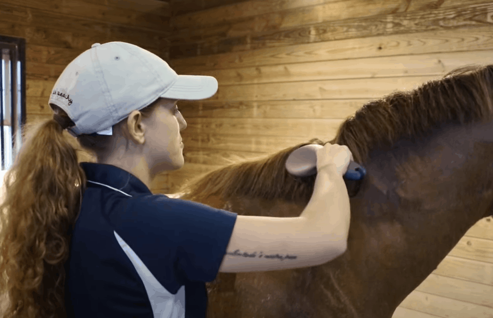 Comb Paint Your Horse