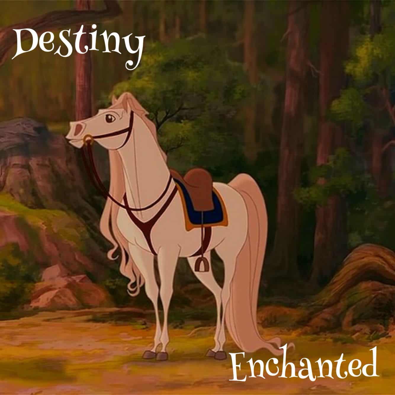 Destiny from Enchanted