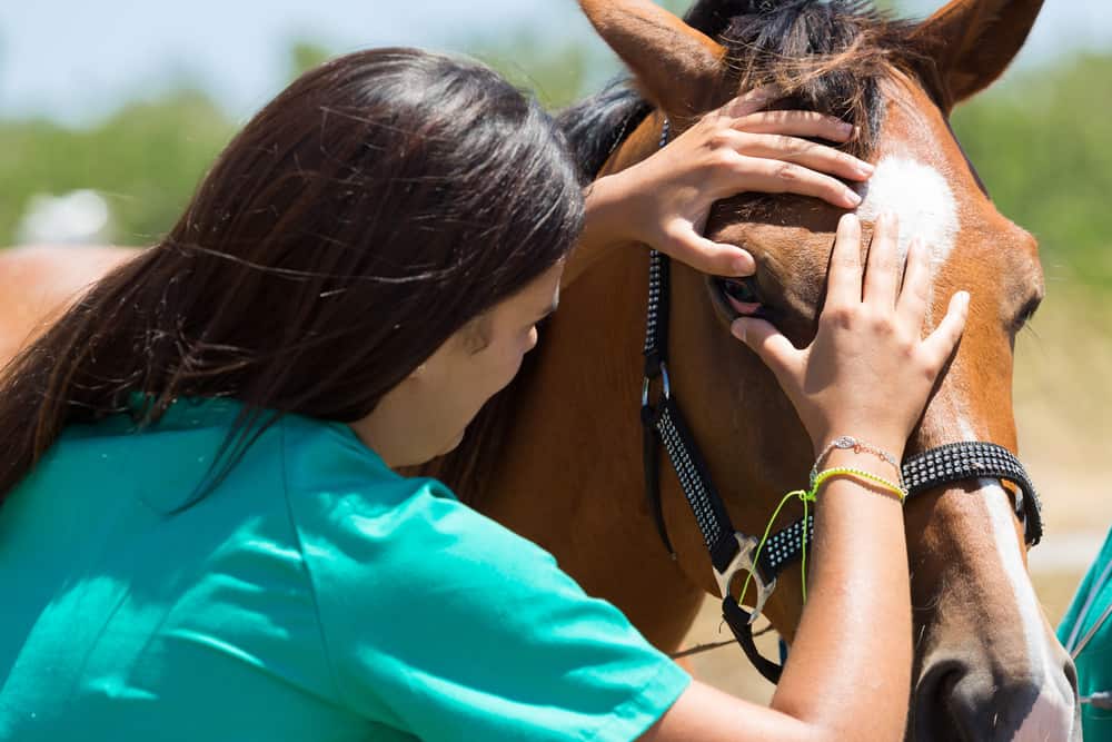 Fascinating Facts About Horse Vision