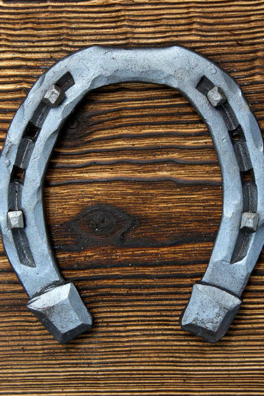 Material Types of Horse Shoes