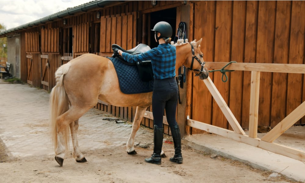 11 Must Equipment for Horseback Riding
