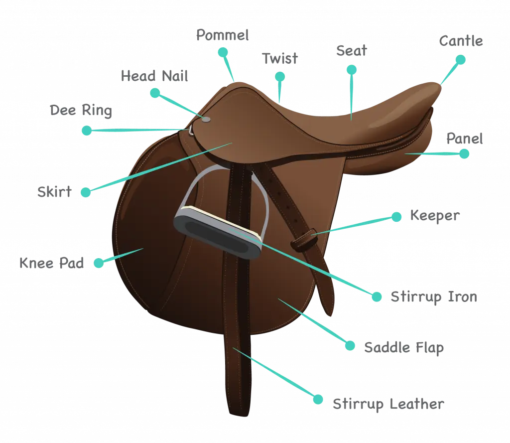 14 Overall Parts of a Saddle
