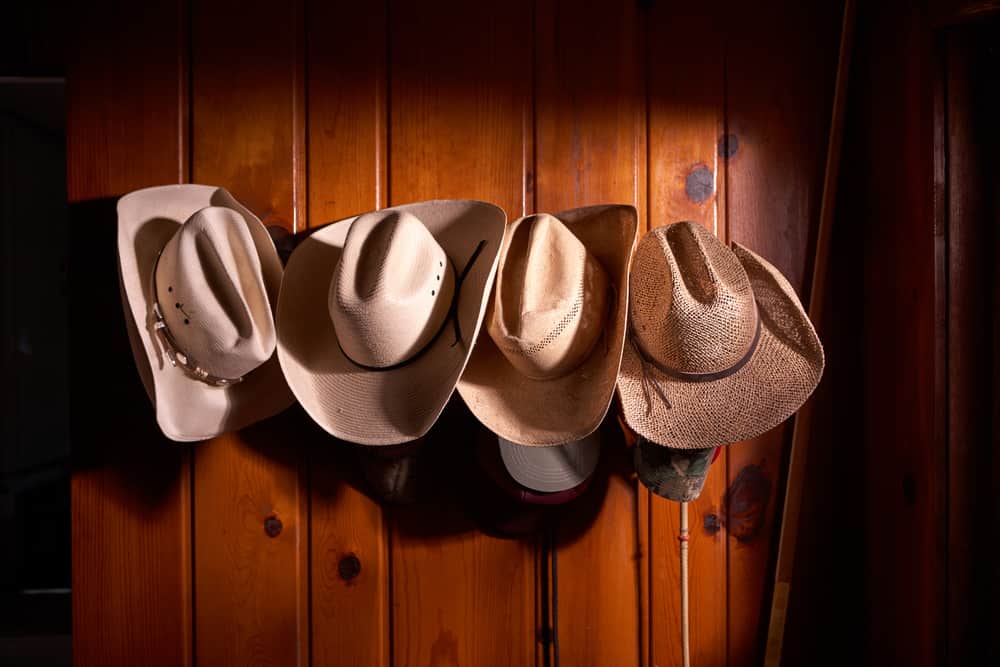 6 Common Cowboy Hat Shapes & Styles (With History)