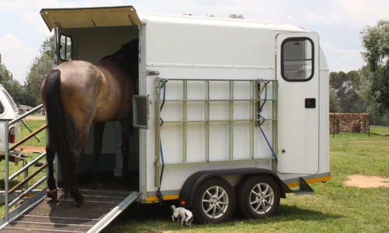 How Much Does a Horse Trailer Weigh